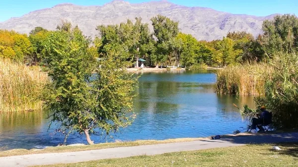 This is a view of a lake and trees at Floyd Lamb State Park in Las Vegas Nevada