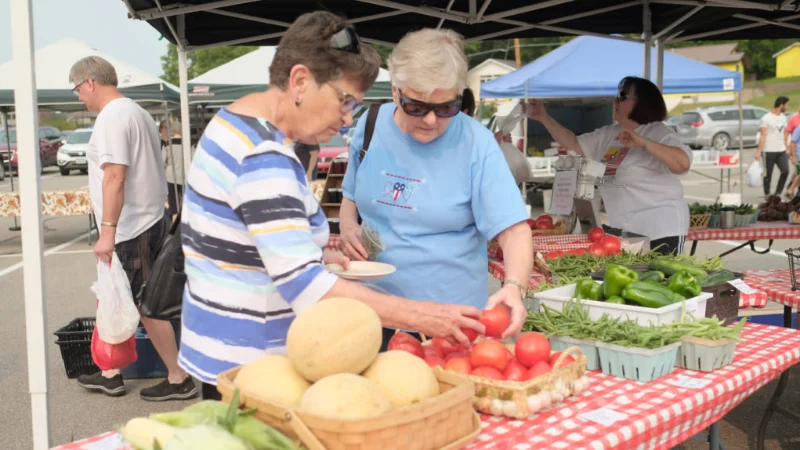 Two women look at a produce table at the Henderson Farmers Market at Lee's Family Forum