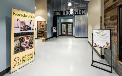 This is the Nevada SPCA Pet Food Bank and Adoptions in Las Vegas