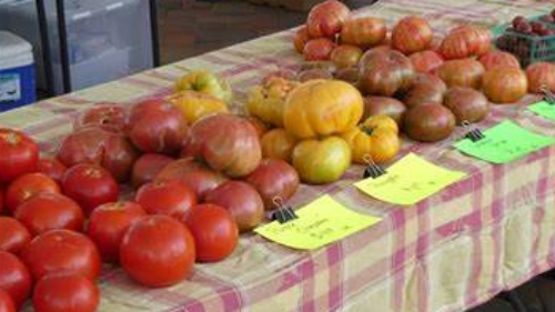 A table topped with fresh produce from the farmers market at Inspirada Solista Park