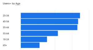 Horizontal bar chart showing V4L users by age groups.