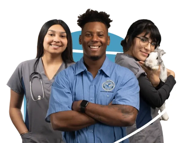 Carrington College Las Vegas Certificate and Associate Degree Programs