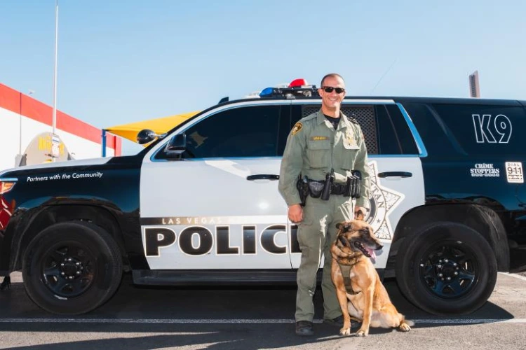 Some Las Vegas Police officers wear a Grey/tan Uniform