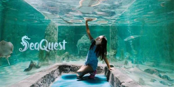 SeaQuest Las Vegas 