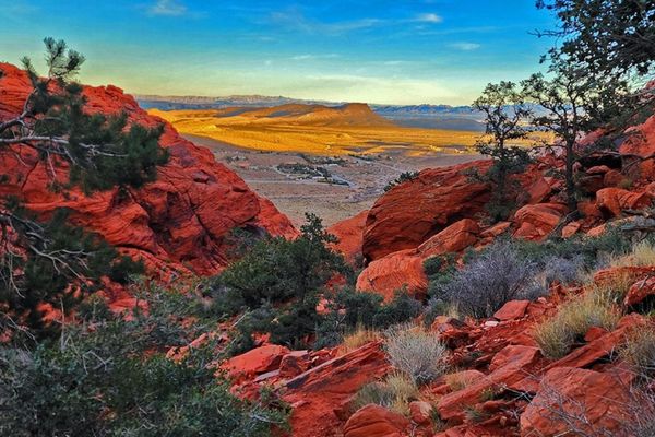 Calico Basin Red Springs at Red Rock 