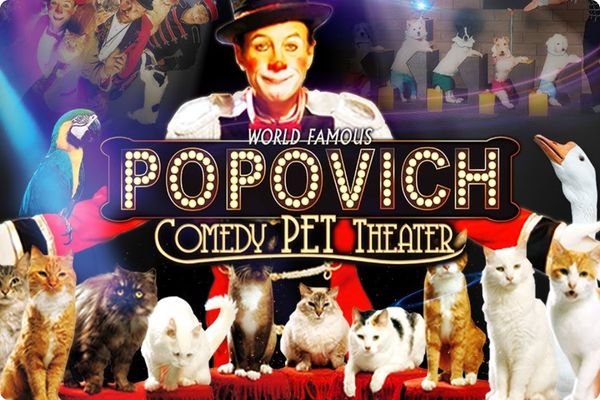 Popovich Comedy Pet Theater Las Vegas