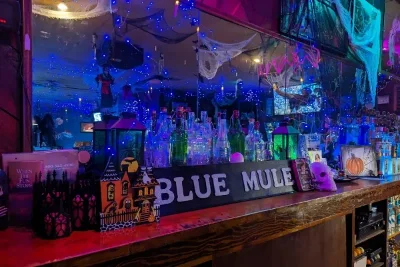 Blue Mule Saloon Las Vegas Dive Bar