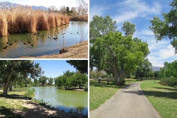 Floyd Lamb Park at Tule Springs