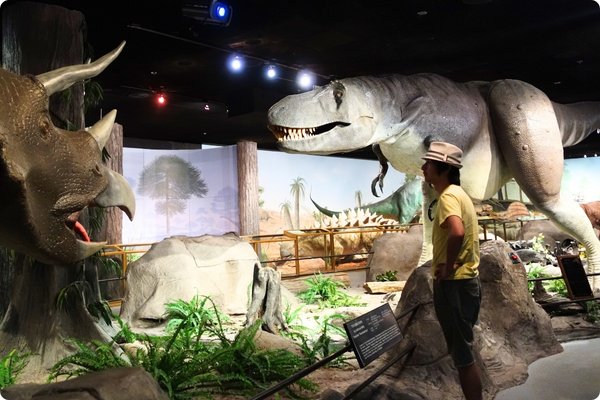 Las Vegas Natural History Museum