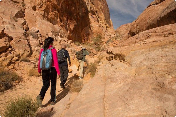 Love Hikes Valley of Fire Hiking Tour