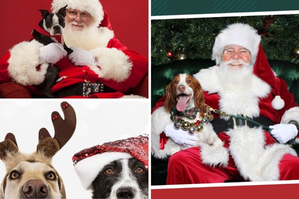 Pet Holiday parties at The District @ Green Valley Ranch