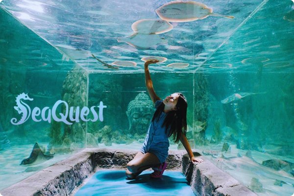 Seaquest Las Vegas